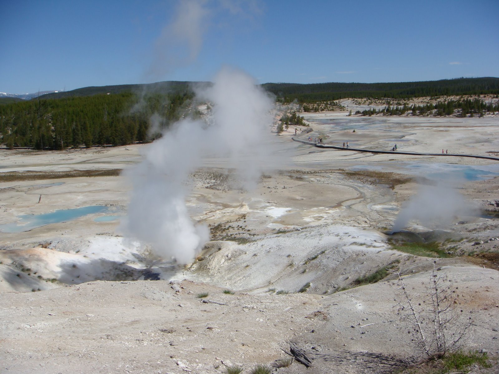 Yellowstone, June 25, 2009 014.jpg (image)